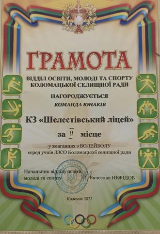 гра волейбол